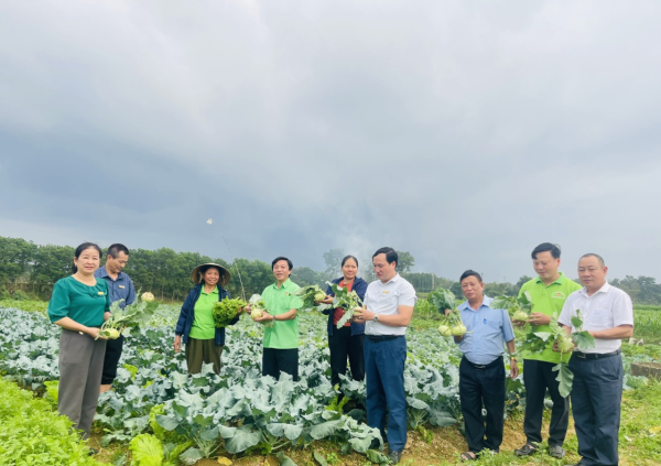 Đồng chí Chủ tịch Hội nông dân huyện xuống thăm cánh đồng rau sạch của bà con nông dân Thị trấn